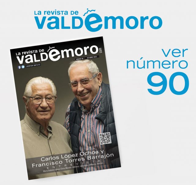 VER N90