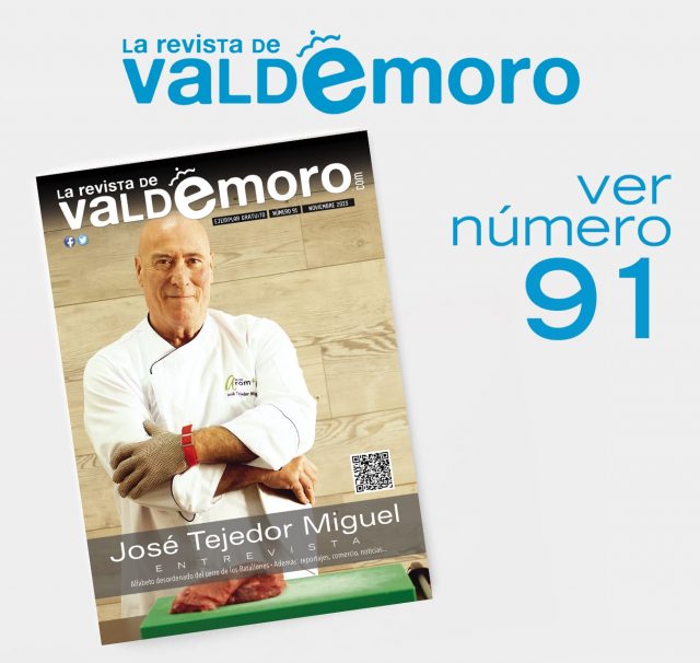 VER N91