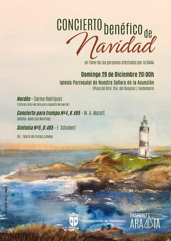 Cartel Valdemoro 29122024