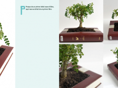 Libros intervenidos en MiraLookBooks