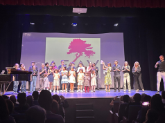 Música, magia y solidaridad en el XVI Festival Benéfico de AFAV