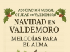 Concierto de la Asociación Musical Ciudad de Valdemoro