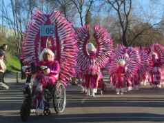 Ver todas las fotos del Carnaval 2026 de Valdemoro
