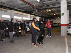 Primeros pasos para la creación de la Unidad Canina de la Policía Local