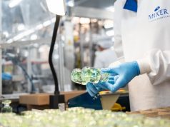 Del laboratorio al punto de venta. Así se crea un perfume desde cero