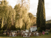 Bodas al aire libre cerca de la capital: por qué la Sierra de Madrid es el destino favorito de las parejas
