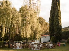 Bodas al aire libre cerca de la capital: por qué la Sierra de Madrid es el destino favorito de las parejas