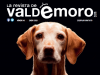 ¡Revive la historia de Valdemoro con nuestra hemeroteca digital!: Número 40