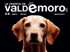 ¡Revive la historia de Valdemoro con nuestra hemeroteca digital!: Número 40