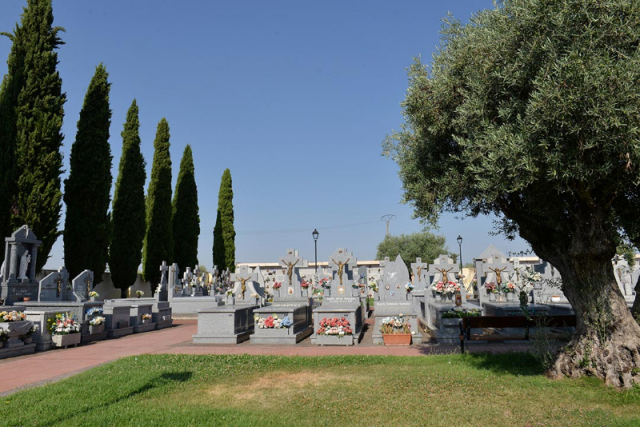 Cementerio_municipal_p