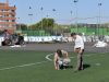 El Ayuntamiento emprende la renovación integral de los campos de fútbol
