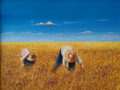 Exposición de pintura ‘La Alcarria’, de Miguel San Miguel