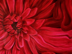 Exposición «Tiempo para el descanso» de Laura Martínez